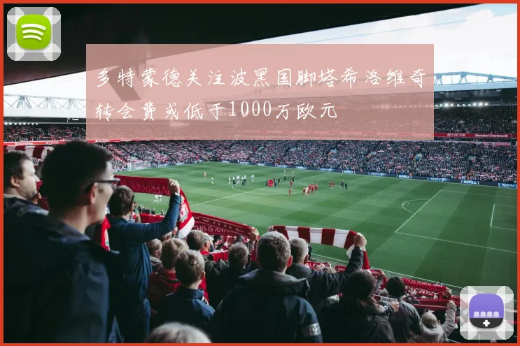 多特蒙德关注波黑国脚塔希洛维奇转会费或低于1000万欧元