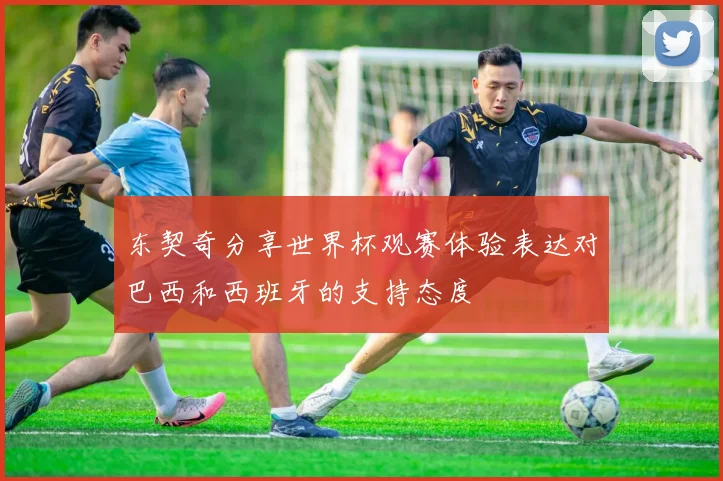东契奇分享世界杯观赛体验表达对巴西和西班牙的支持态度